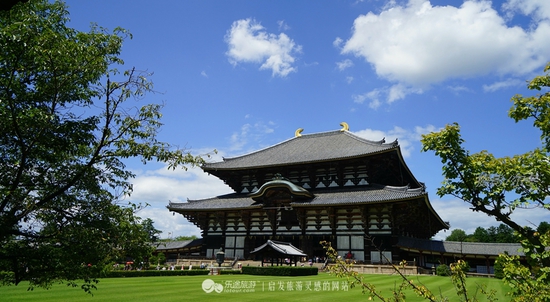 遠觀東大寺　　攝影/爾冬
