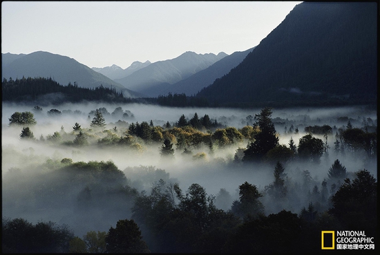 奧林匹克國家公園，華盛頓州攝影：Sam Abell，國家地理創(chuàng)意版