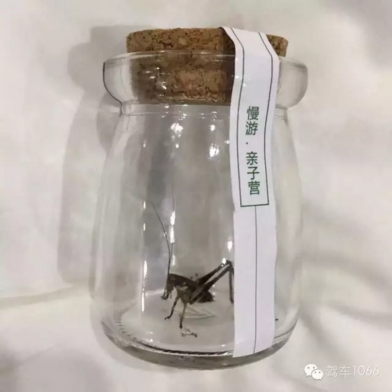 看看我的成果吧！