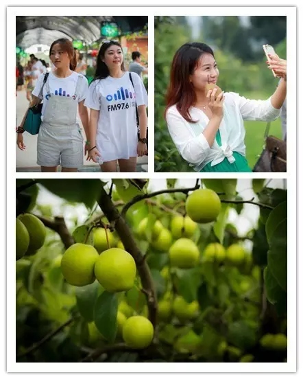 美女與香梨，你更愛(ài)哪一個(gè)？！