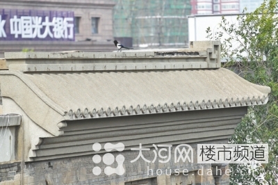 鄭州花園路“飛機樓”也要拆?去留引發關注