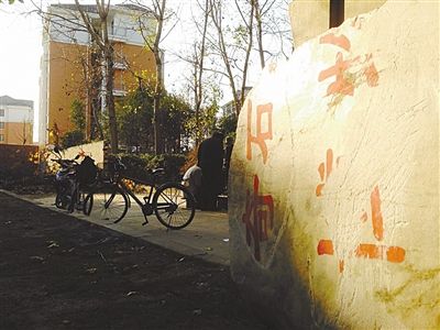 昨日，“上海奇石盆景博物館”原址上，已矗立起小區樓盤，而刻著博物館名的巨石，廢棄在一旁。本版圖片/新京報記者 張永生 攝