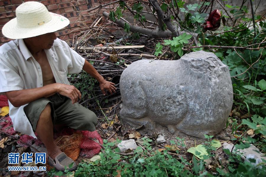 朝陽鎮(zhèn)后李村業(yè)余文保隊員，今年65歲的李連堂在上世紀平整土地時候，從地里挖出一個石羊殘身，至今仍放在