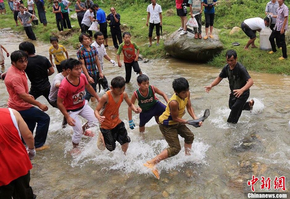 7月9日，村民在小河里摸魚搶魚。譚凱興 攝