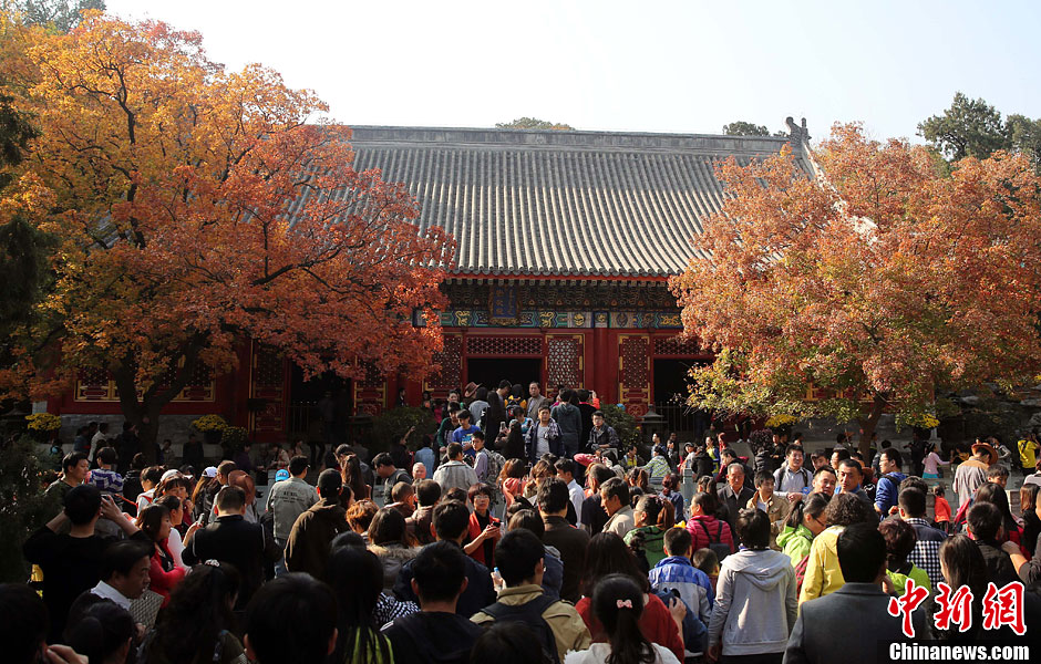 　10月26日，北京香山公園內游客摩肩接踵。