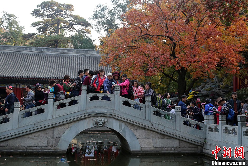 　10月26日，北京香山公園內游客摩肩接踵。