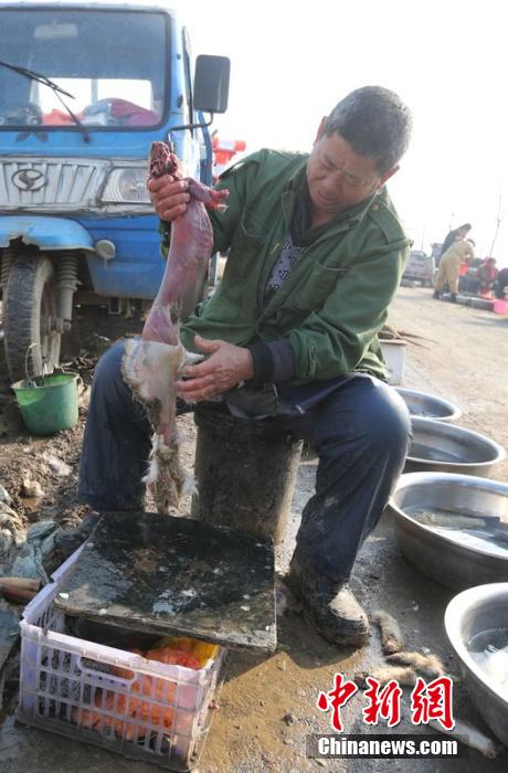 圖為12月1日，104國道靜海縣城附近，顧客挑好后，商販拎著死兔將皮完整地扒下來。田寶希 攝 圖片來
