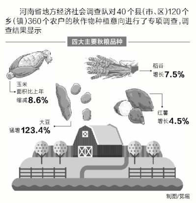 河南專項調查40個縣 四大秋糧種植結構發生變化