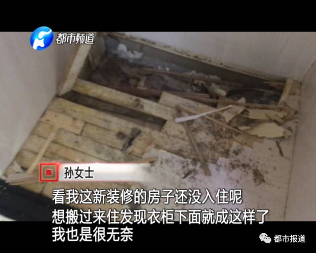 蟻族大軍入侵！十幾萬裝修的新家被“吃掉”