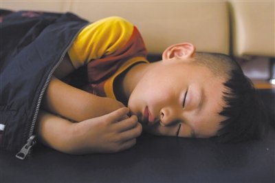 9月6日，等待錄制節(jié)目的多多躺在沙發(fā)上熟睡。新京報記者 侯少卿 攝
