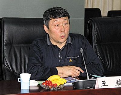 國家能源局新能源和可再生能源司司長王駿。