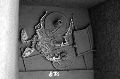 涇陽(yáng)發(fā)現(xiàn)376座古墓還有6座車(chē)馬坑