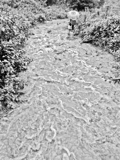 梅子回家的山道，晴天是路，雨天是河