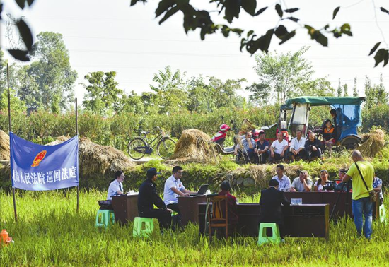 “田間法庭”審理贍養糾紛