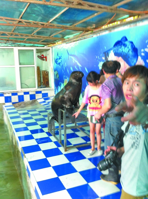 海獅館內的攝影師警惕性很高,禁止記者拍照。