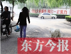 啟明一巷內(nèi)，一名女子帶著狗狗去買菜。狗隨地大小便，狗的主人未制止
