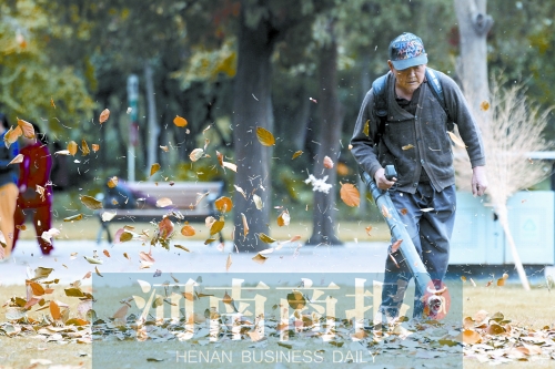 秋風吹過，落葉滿地