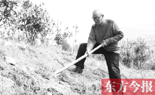南陽(yáng)七旬老翁不愛(ài)遛鳥愛(ài)種樹 拿百萬(wàn)積蓄綠化千畝荒山