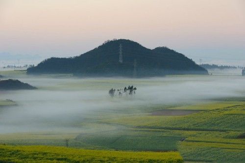 盤(pán)點(diǎn)全國(guó)13處絕美的油菜花觀賞地