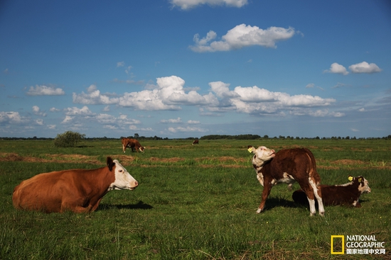 羊角村:童話般的中世紀村落