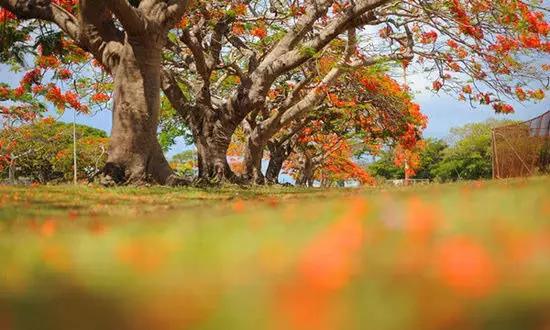 適合在冬天旅游的十個絕美海島! 適合在冬天旅游的十個絕美海島!