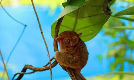 適合在冬天旅游的十個絕美海島! 適合在冬天旅游的十個絕美海島!