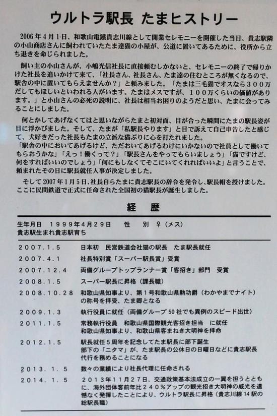 全球最萌車站 站長是只貓 全球最萌車站 站長是只貓