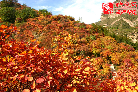 2013第七屆中國·邢臺九龍峽金秋紅葉節