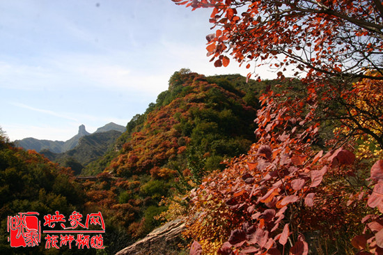 2013第七屆中國·邢臺九龍峽金秋紅葉節