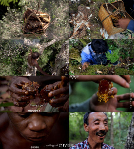 網友上傳《舌尖2》與BBC視頻截圖對比照