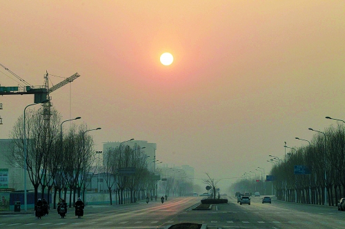 昨日天空放晴，雖然天還不是那么藍，但也給大家帶來好心情。
