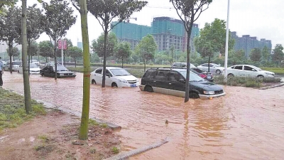 昨日，信陽突降暴雨，路面積水已淹沒輪胎。首席記者 何正權(quán) 通訊員 楊小燕 攝影