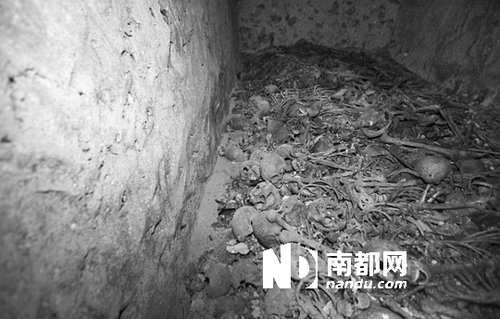 　5月29日，在以色列特拉維夫市雅法地區(qū)，一處集體墳?zāi)贡话l(fā)現(xiàn)。