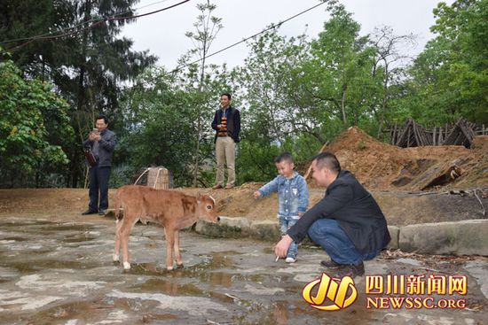 村里人知道后，前來看熱鬧