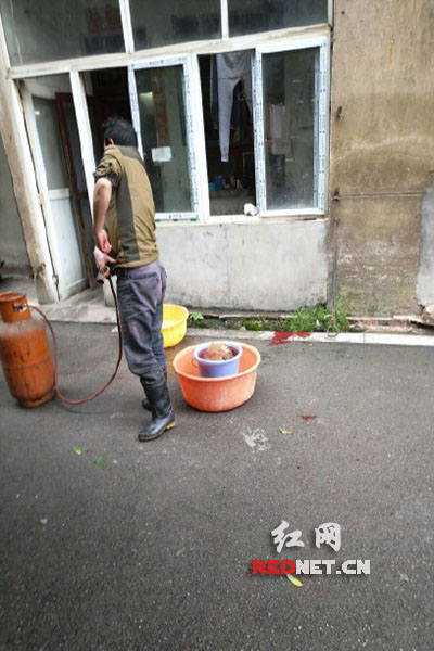 5月8日，男子在校園里殺狗，地上殘留一塊血跡。目擊者供圖。