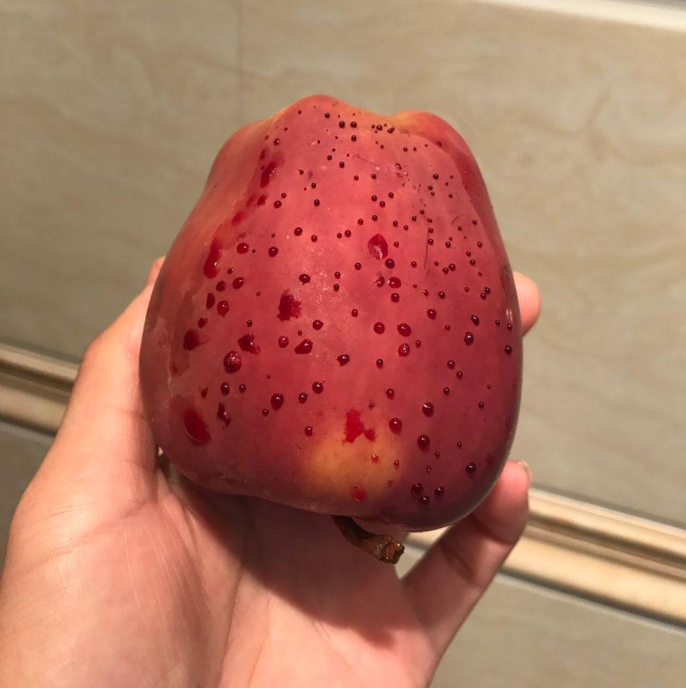 嚇懵！女子用熱水泡蘋果結果冒出血珠 咋回事？