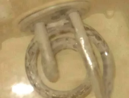 太惡心！女游客竟用酒店燒水壺煮自己的臟內褲