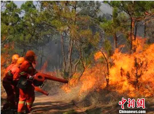 一男子“隱居”山林不慎引發(fā)火災因失火罪獲刑