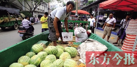 因為夜里睡太沉，來鄭州賣瓜的開封瓜農姚老漢不但丟錢還丟瓜