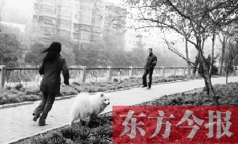 12月3日，鄭州市南關(guān)街熊兒河旁，一名遛狗的女子見到執(zhí)法人員檢查，迅速跑開