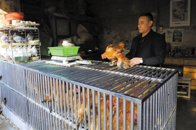 南京另一家農貿市場內待售的活雞。因南京出現H7N9禽流病例，買活雞的顧客減少。