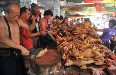 玉林狗肉節(jié)。