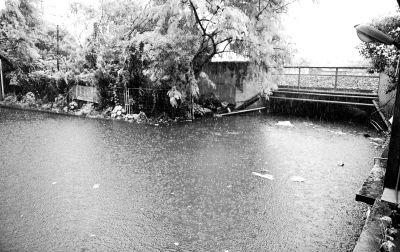 白云區棠樂路通往石槎路的一個鐵路橋底涵洞常被暴雨積水淹沒?！缎畔r報》供圖