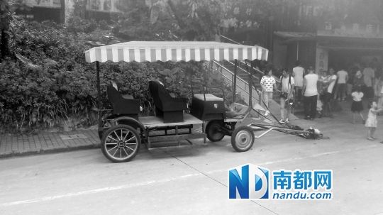 園方則稱解剖后發(fā)現(xiàn)馬死于心臟衰竭，“與累無關(guān)”。