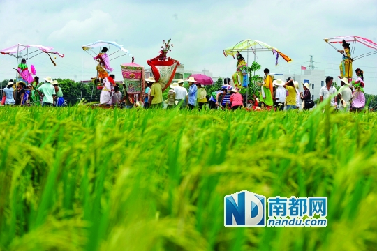 崖口村每年都在村里舉行飄色巡游活動(dòng)。
