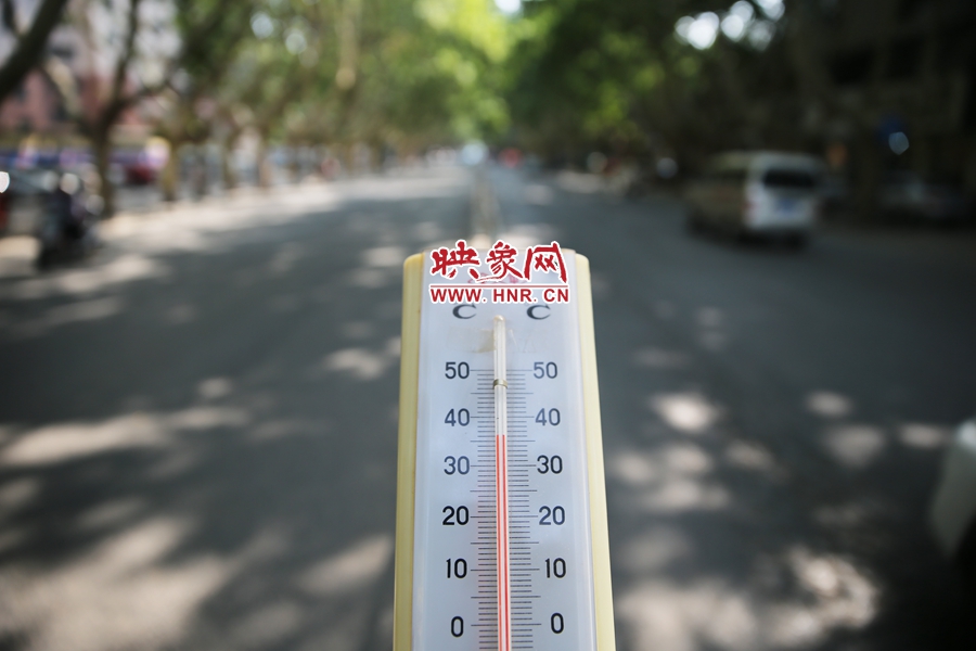 7月8日下午15時(shí)30分，人民路樹陰處溫度為36度，比人防納涼處高11度。