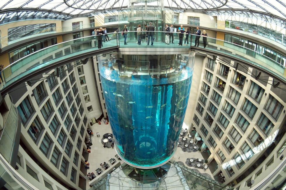 在圓柱水族館主體下方，還有一些別的展館。