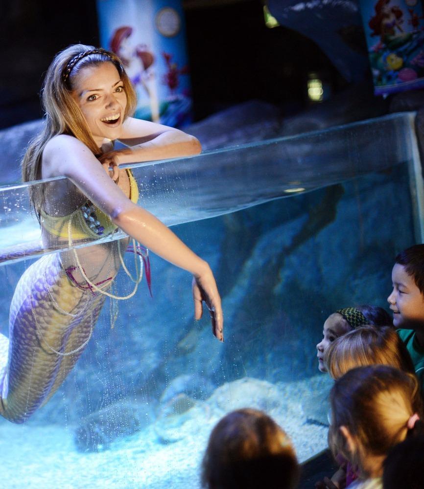 德國女演員安妮·門登在水族館里客串了一把“美人魚”，順便為她的電影《小美人魚》做宣傳。