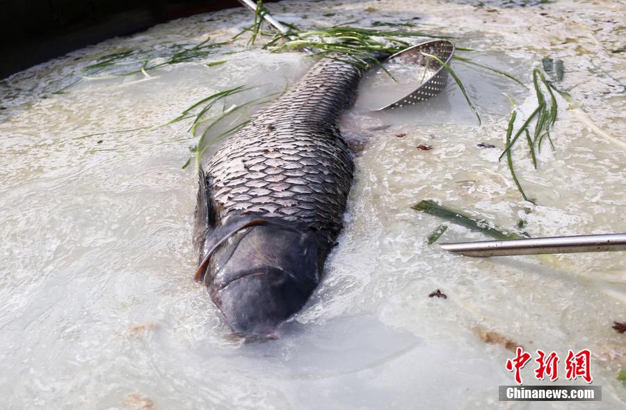 “魚(yú)王”在3米大鍋內(nèi)烹飪。 圖片來(lái)源：CFP視覺(jué)中國(guó)