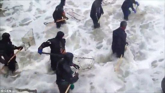 當地居民沖入海中，用網兜打撈琥珀。（圖片來源：《每日郵報》）